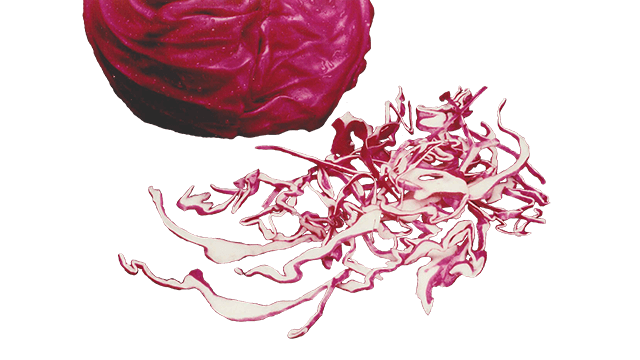 red cabbage shred translicer 2520