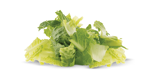 romaine lettuce chop etranslicer
