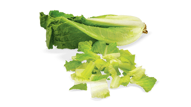 romaine lettuce chopped