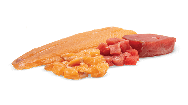 salmon tuna dice sprint