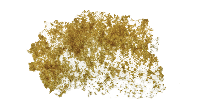 seaweed flake comitrol 1500