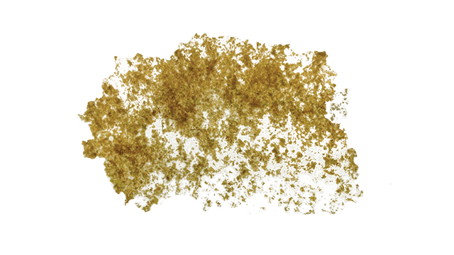 seaweed flake comitrol 1700