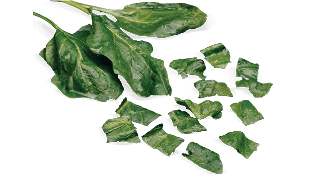 spinach m6