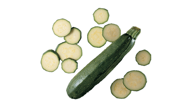 zucchini slice etranslicer