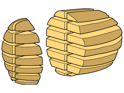 bi slab types of cuts