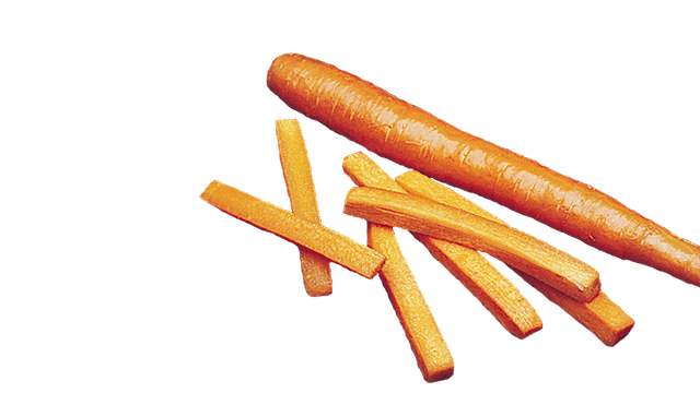 carrot sticks segment velocicut