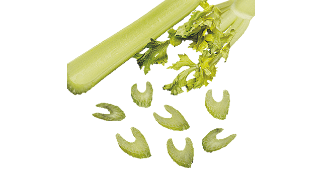 celery bias flat slice oc