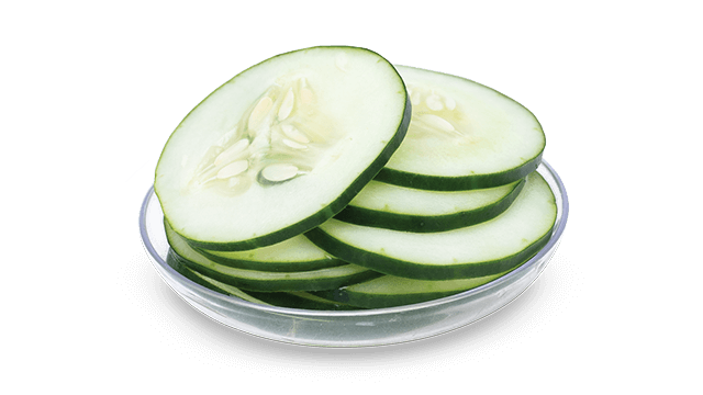 cucumber slices etranslicer