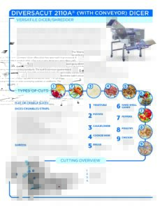 fact sheet diversacut 2110a conveyor english pdf