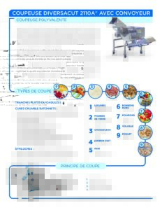 fact sheet diversacut 2110a conveyor french pdf