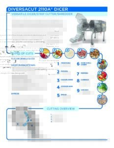 fact sheet diversacut 2110a english pdf
