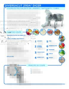 fact sheet diversacut 2110a french pdf