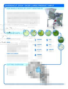 fact sheet diversacut 2110a lpi english pdf