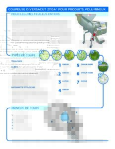 fact sheet diversacut 2110a lpi french pdf