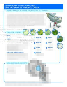 fact sheet diversacut 2110a lpi portuguese pdf