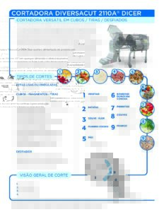fact sheet diversacut 2110a portuguese pdf