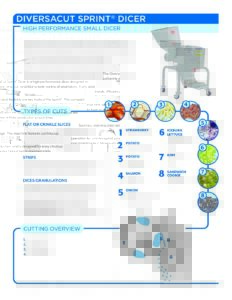 fact sheet diversacut sprint english pdf