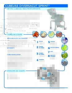 fact sheet diversacut sprint french pdf