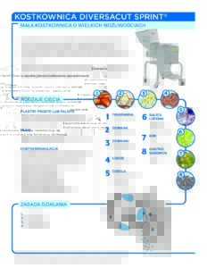 fact sheet diversacut sprint polish pdf