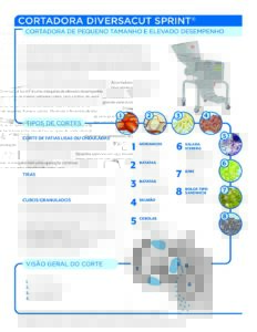fact sheet diversacut sprint portuguese pdf