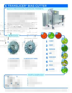 fact sheet etranslicer bias english pdf