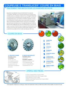 fact sheet etranslicer bias french pdf