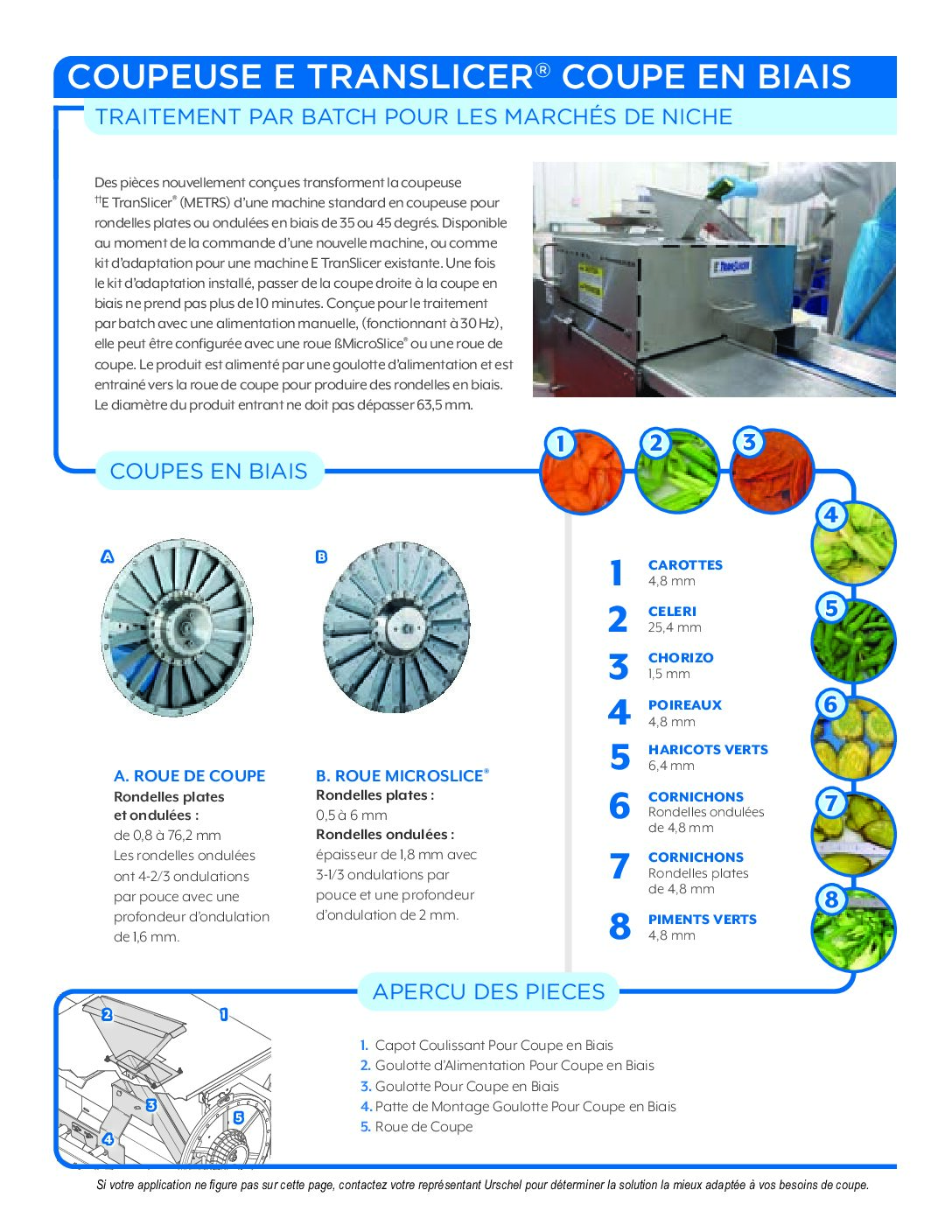 fact sheet etranslicer bias french pdf
