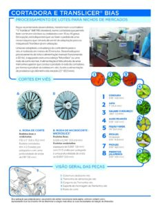 fact sheet etranslicer bias portuguese pdf