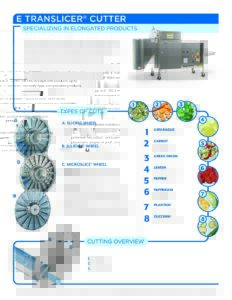 fact sheet etranslicer english pdf