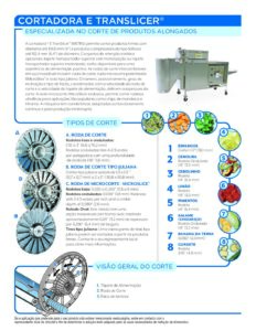 fact sheet etranslicer portuguese pdf