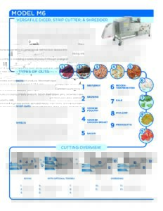 fact sheet m6 english pdf