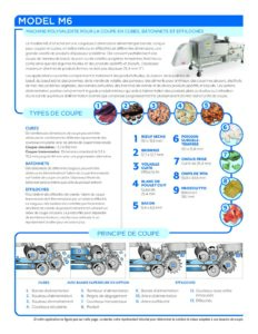 fact sheet m6 french pdf