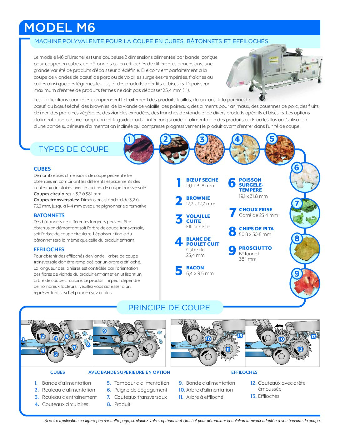 fact sheet m6 french pdf
