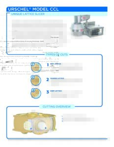 fact sheet model ccl english pdf