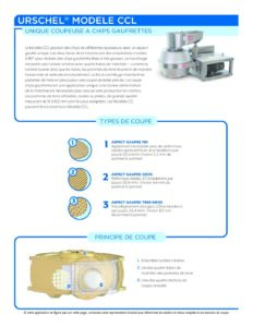 fact sheet model ccl french pdf