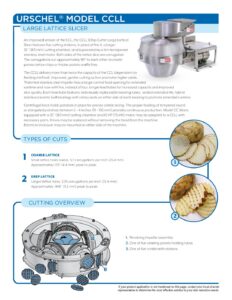 fact sheet model ccll english pdf