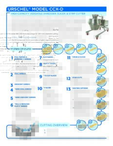 fact sheet model ccx d english pdf
