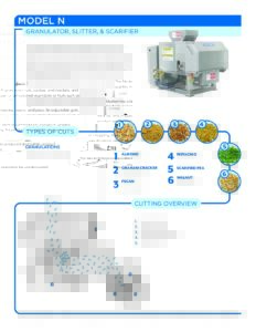 fact sheet model n english pdf