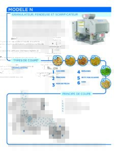 fact sheet model n french pdf