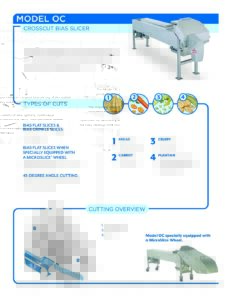 fact sheet model oc english pdf