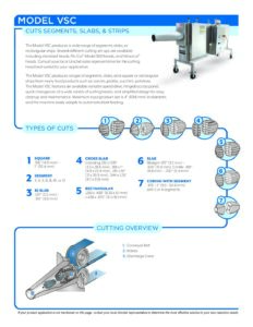 fact sheet model vsc english pdf