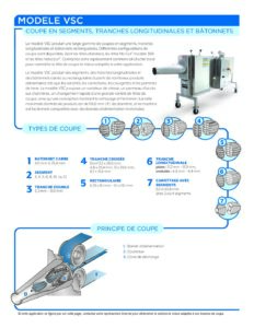 fact sheet model vsc french pdf