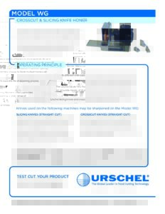 fact sheet model wg english pdf