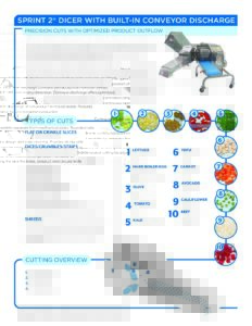 fact sheet sprint2 conveyor english pdf
