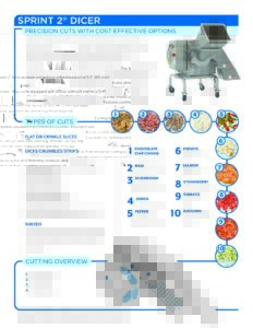 fact sheet sprint2 english pdf
