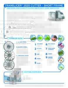 fact sheet translicer 2520short english pdf