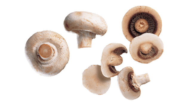 mushroom slice cc