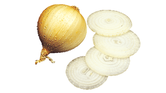 onion slice velocicut