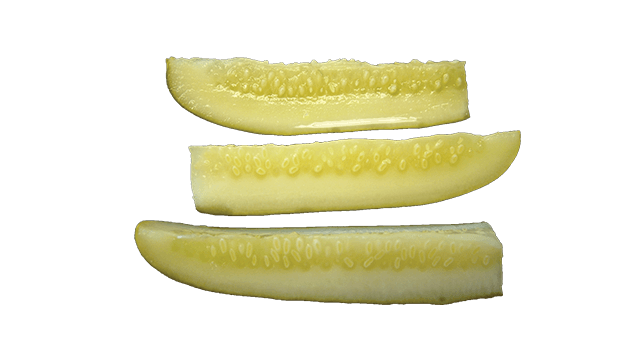 pickle segment vsc