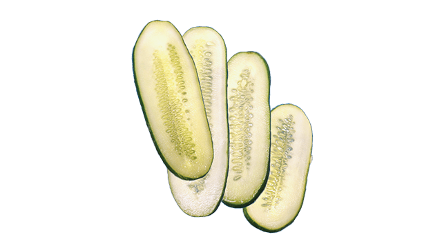 pickle slab velocicut